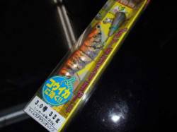 貝塚　最近好調のタコ釣りに行ってきました　…